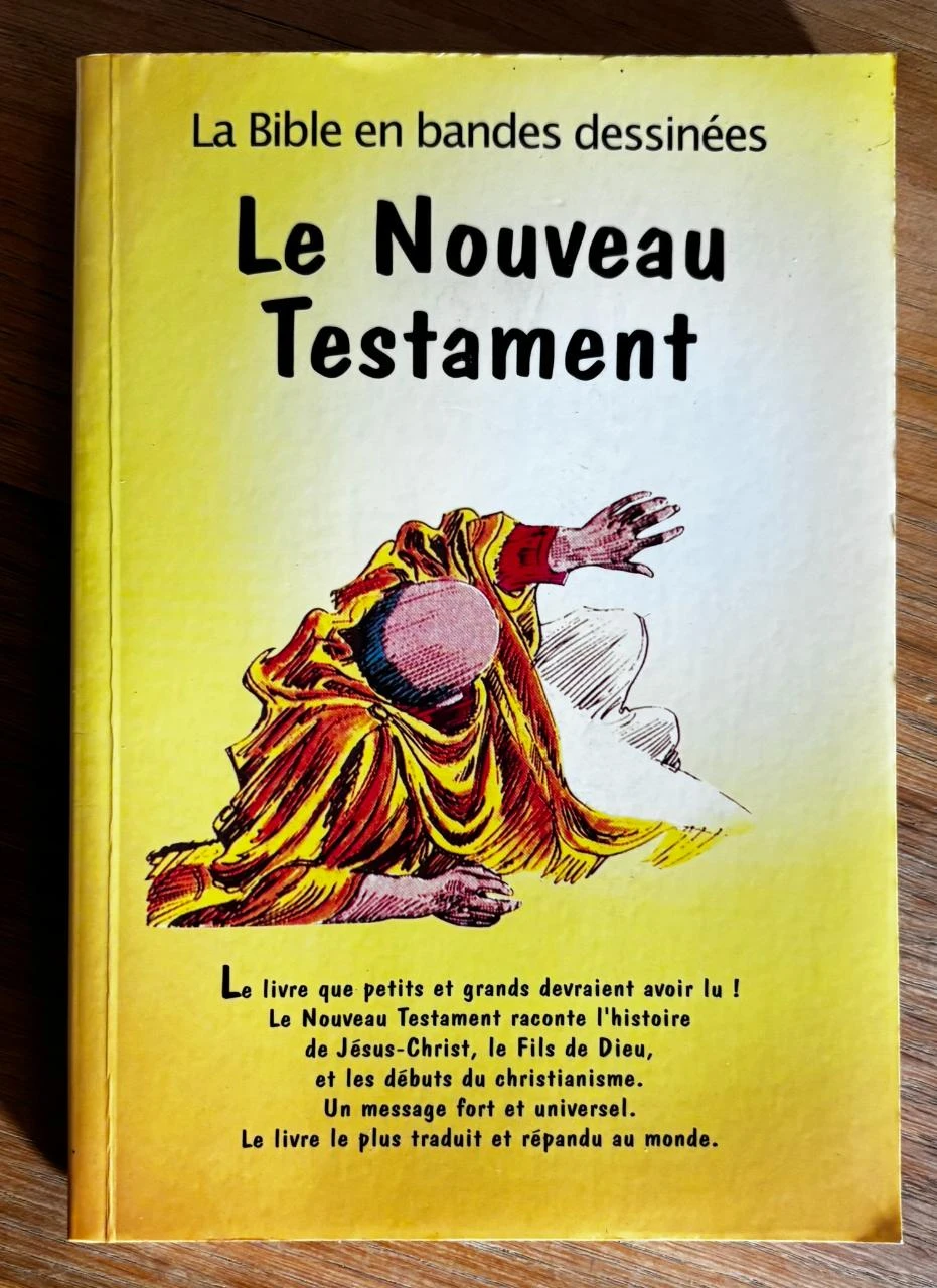 Le nouveau testament en bandes dessinées de Iva Hoth (Broché)